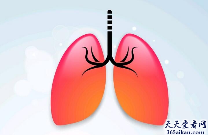 梦见肺部是什么意思？