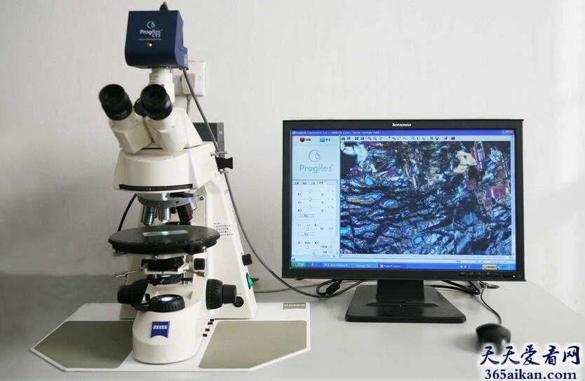 梦见显微镜有什么寓意？