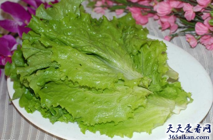 梦见生菜有什么预兆？