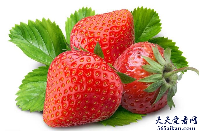 梦见草莓.jpg