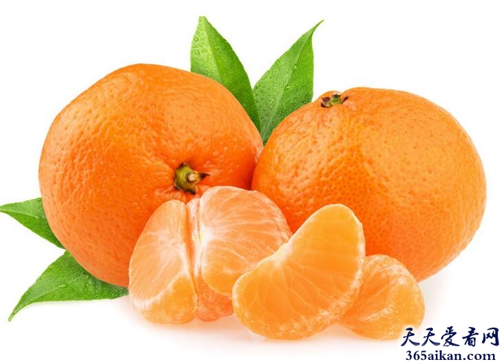 梦见橘子.jpg