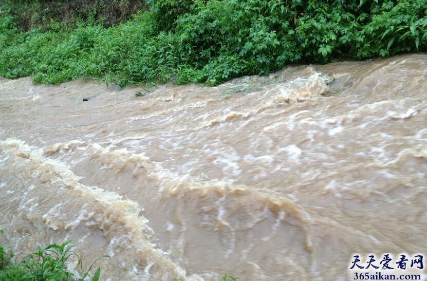 梦见下雨发大水预示着什么？