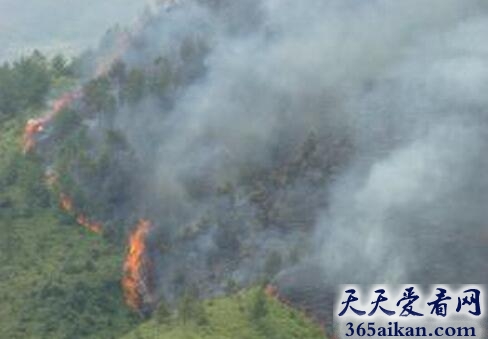 梦见大山起火好不好？