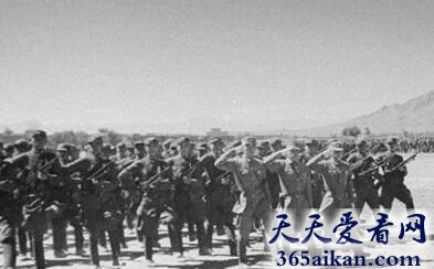 历史档案馆，盛世才家族血案真相是怎么样的？