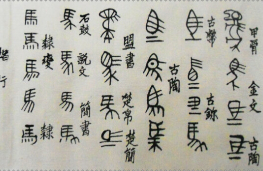 中国商朝文字介绍 商代文字甲骨文出现演变.jpg