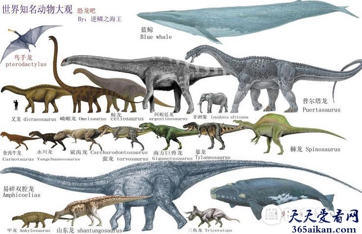 盘点恐龙图片大全，让您更加清晰的认识地球曾经的霸主恐龙