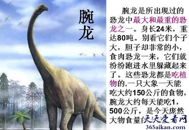 盘点恐龙图片大全，让您更加清晰的认识地球曾经的霸主恐龙