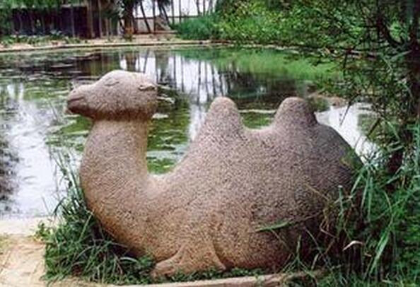 神奇的骆驼泉撒拉族风景名胜