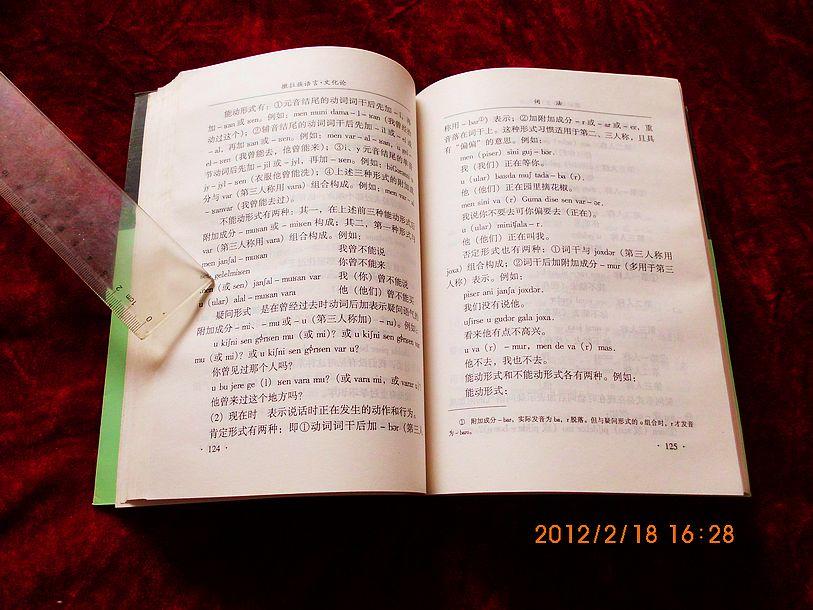 浅析撒拉族的语言文化