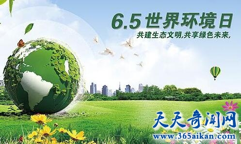 世界环境日的由来是怎么样的？世界环境日中国在行动！