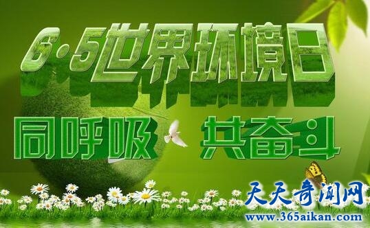 世界环境日的由来是怎么样的？世界环境日中国在行动！