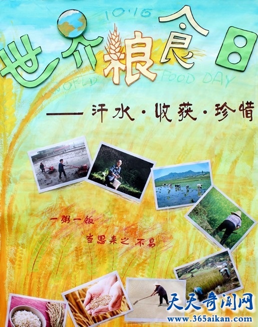 世界粮食日的由来，世界粮食日意义是怎么样的？