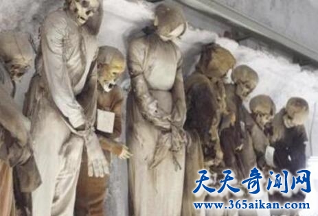巴勒莫嘉布遣会修士的地下墓穴1.jpg