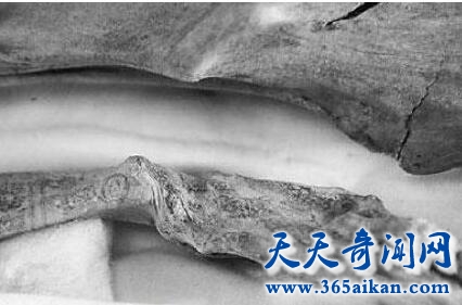 文身并身披盔甲的皇后墓1.jpg