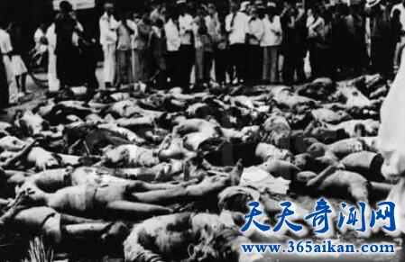 世界上最悲哀的事情，战争中的女人遭受惨痛的折磨！