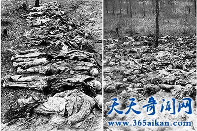揭秘不为人知的大屠杀卡廷事件，苏联屠杀波兰民众！