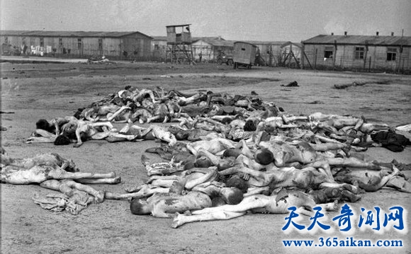 最大的纳粹妇女集中营，女囚遭到惨无人道的对待！