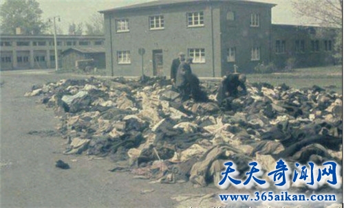 揭秘德国纳粹党当时一个怎样的组织？德国纳粹党实行怎样的政策？