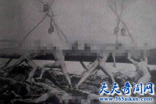 国耻忽忘八国联军侵华战争，八国联军在中华大地上暴行累累！