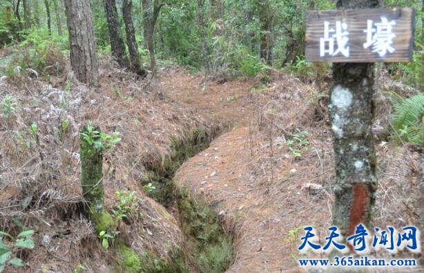 二战中日本第一次被全歼的战役，松山战役拉起中国大反攻！