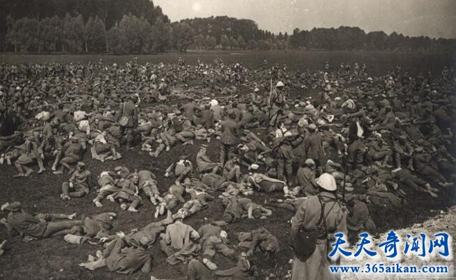索姆河战役伤亡.jpg