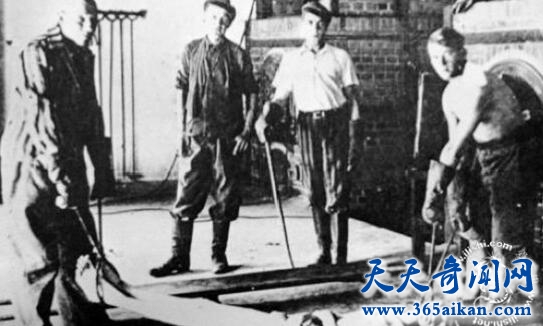 科学家成帮凶，灭绝人性的纳粹人体实验大揭秘！