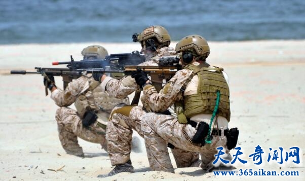 揭秘世界上最出名的特种部队海豹突击队是怎么样训练出来的！