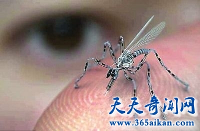 令人防不胜防的小间谍，美国昆虫间谍来袭！