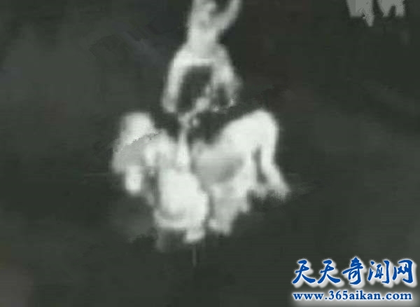 timg (5)_副本.jpg