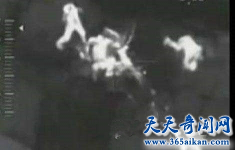 timg (3)_副本.jpg