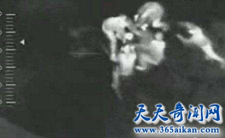 timg (4)_副本.jpg
