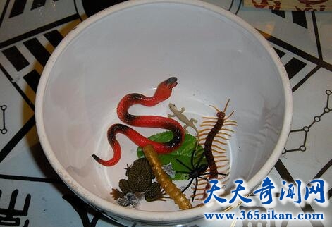 蛊1.jpg