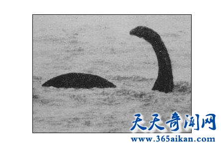 尼斯湖水怪2.jpg