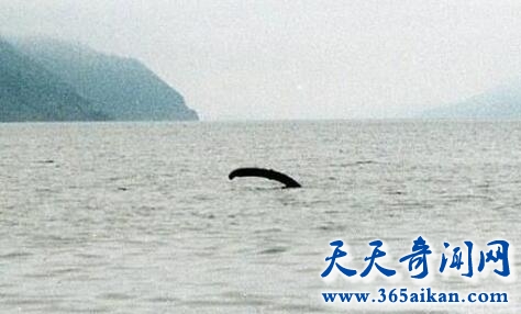 尼斯湖水怪4.jpg