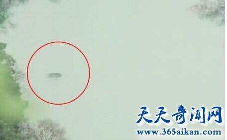 重庆水怪4.jpg
