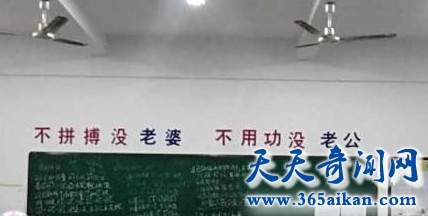 细数那些雷人的高考标语有哪些？