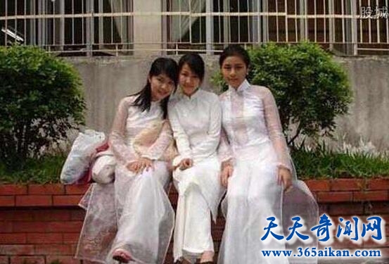 越南媳妇.jpg