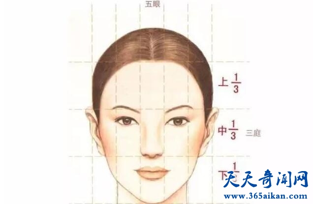 三庭五眼11.jpg
