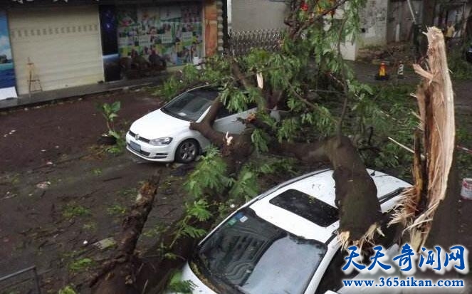 台风