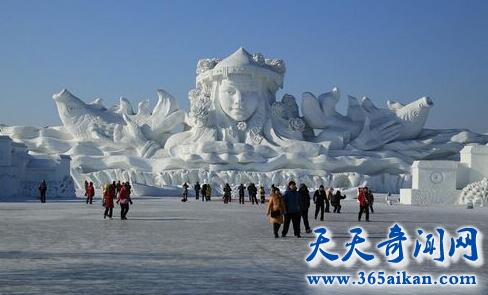 QQ截图20170411115104.jpg