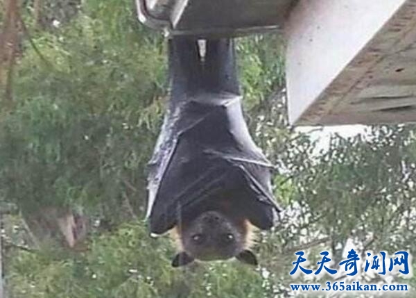 TIM截图20180613170236.jpg