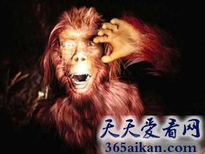 盘点全球十大灵异事件是哪些？科学家都解释不了！