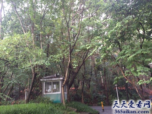 细数深圳大学灵异事件有哪些？