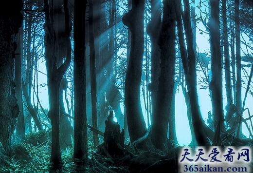 碟仙5.jpg