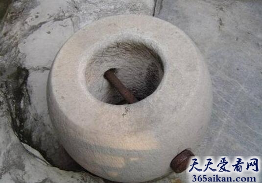 故宫的老鼠.jpg