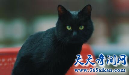 福州大学校园灵异事件1.jpg