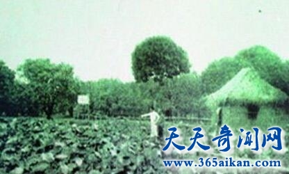 华南师大校园三大灵异事件1.jpg