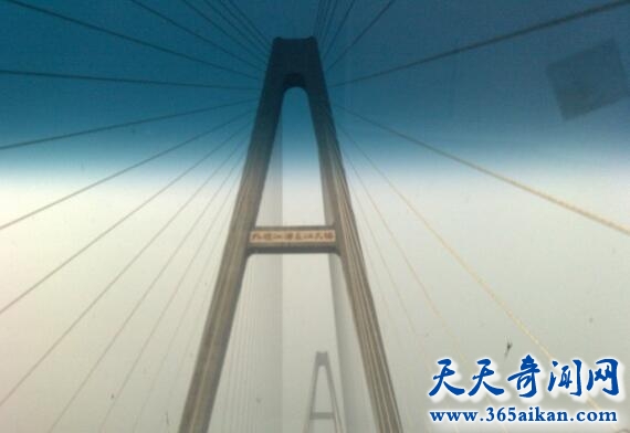 长江大桥“死人多”.jpg