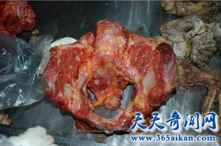 扑朔迷离的南大“碎尸”案.jpg