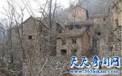 河南“鬼村”1.jpg